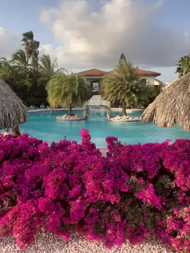 Seru Coral 178 (per nacht)